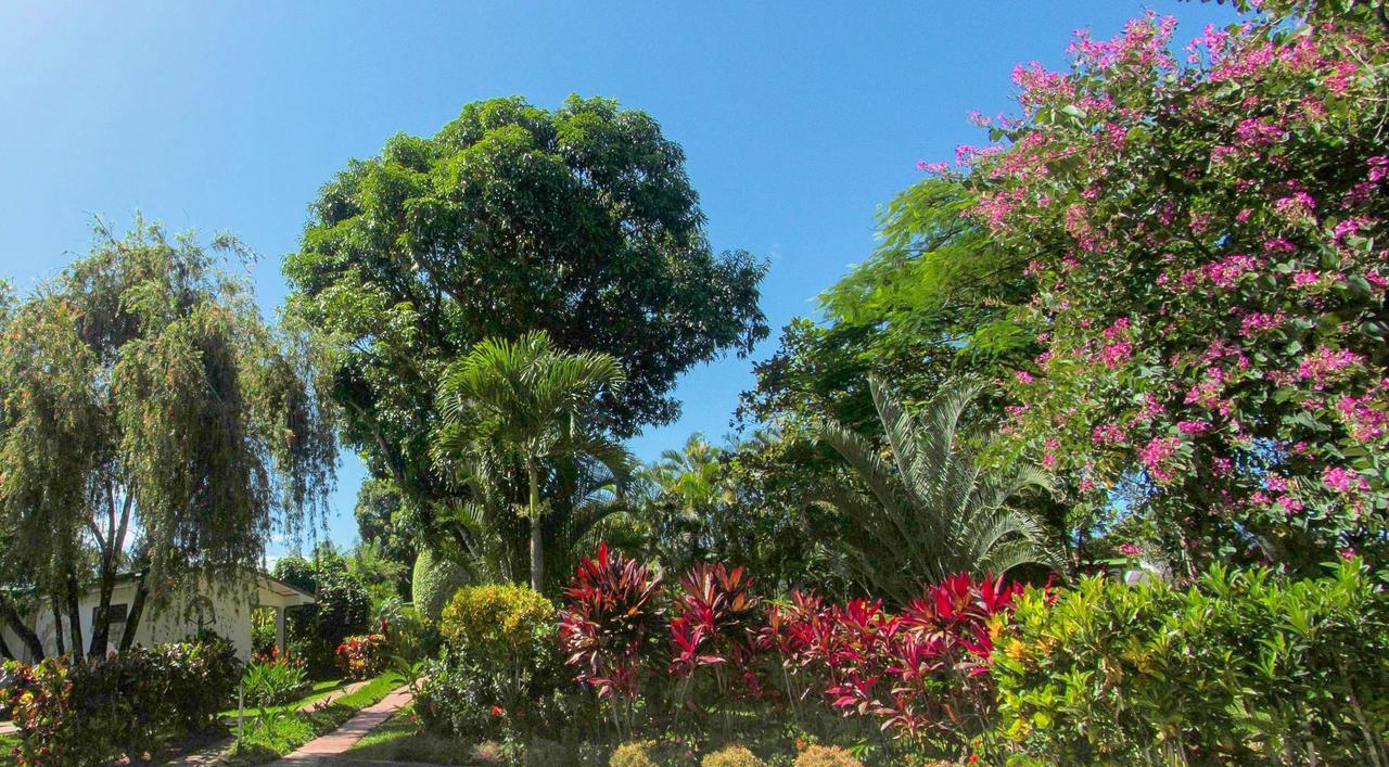 Hotel La Rosa De America Alajuela Luaran gambar