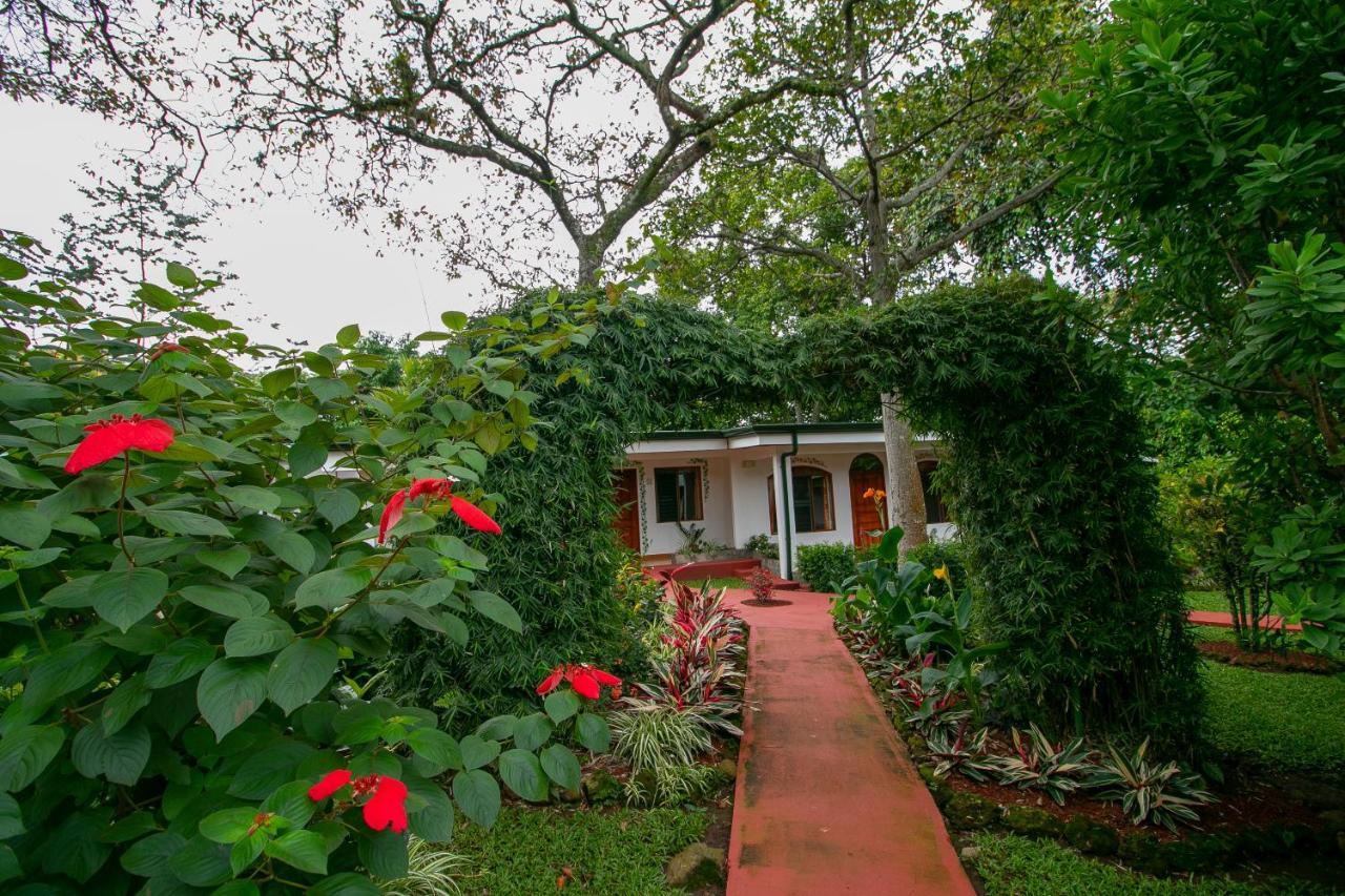 Hotel La Rosa De America Alajuela Luaran gambar